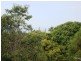 Barlows Hill QLD 4703