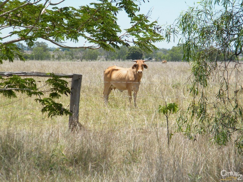 Alton Downs QLD 4702
