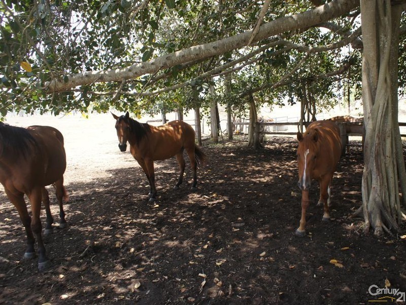 494 McKenzie Road, Alton Downs QLD 4702