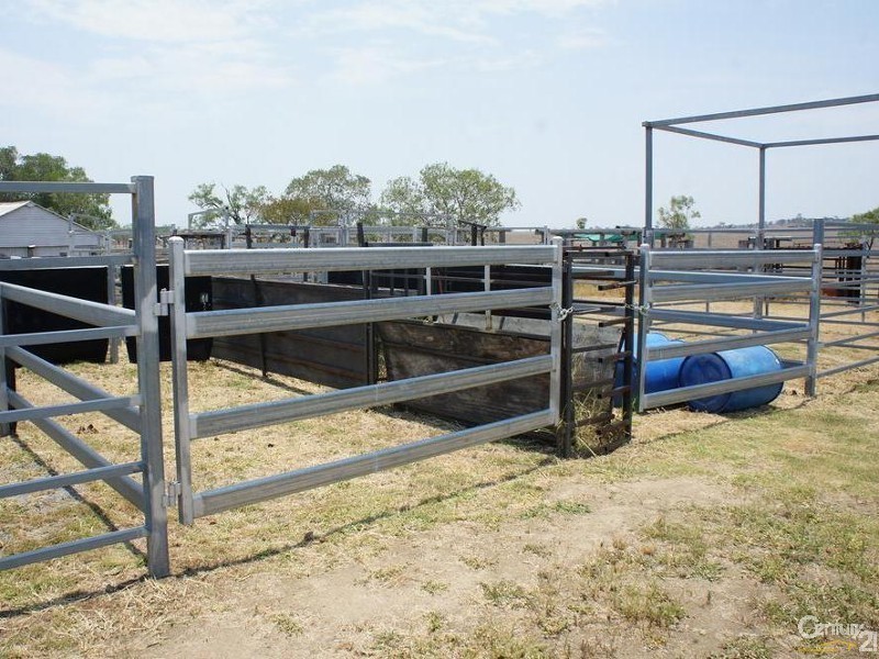 494 McKenzie Road, Alton Downs QLD 4702