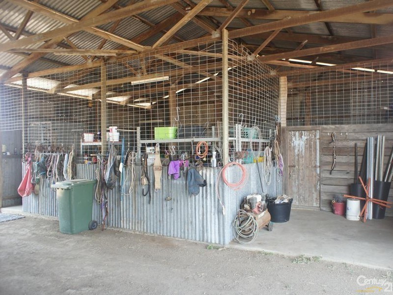 494 McKenzie Road, Alton Downs QLD 4702