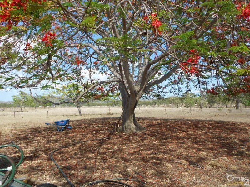 159 Arthur Street, Westwood QLD 4702