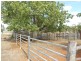 159 Arthur Street, Westwood QLD 4702