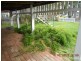 176 Murray Street, Allenstown QLD 4700