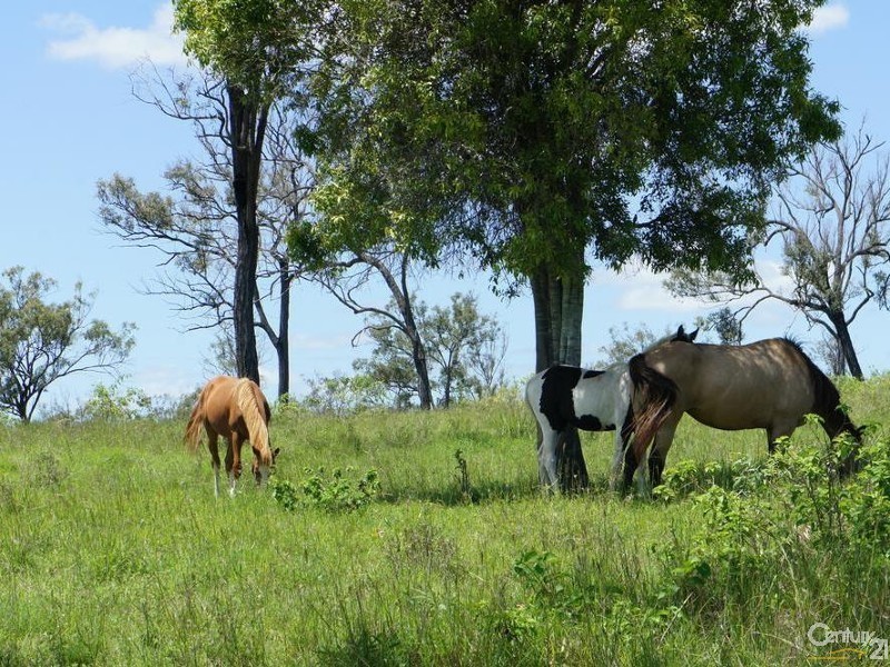 930 Stanwell-Waroula Rd, Alton Downs QLD 4702