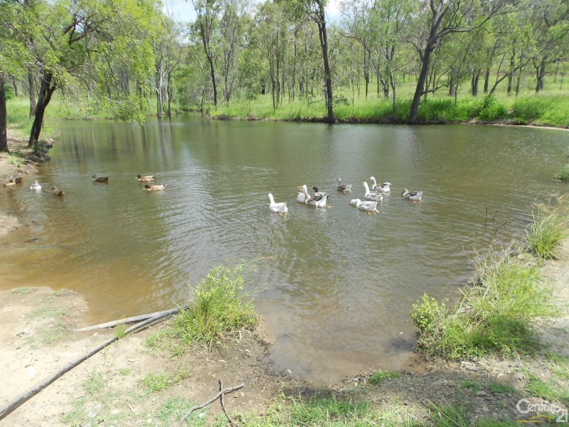 323 E Williams Road, Kabra QLD 4702