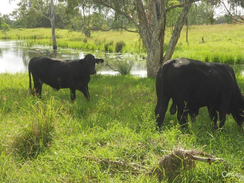 3168 Capricorn Highway, Kalapa QLD 4702