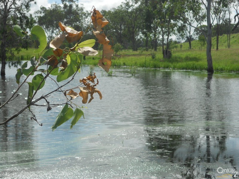 3168 Capricorn Highway, Kalapa QLD 4702