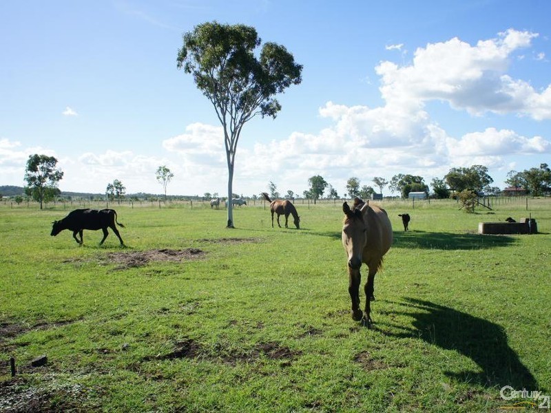 56 Rayner Road, Alton Downs QLD 4702