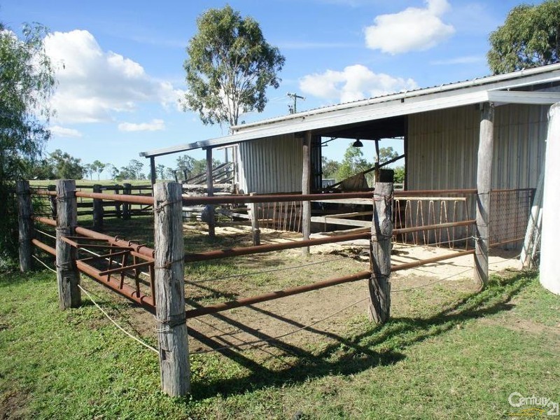 56 Rayner Road, Alton Downs QLD 4702