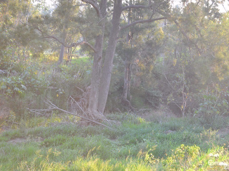 395 Struck Oil Road (House), Struck Oil QLD 4714
