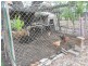 185 Pink Lily Road, Pink Lily QLD 4702
