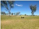 13 CLIFTON, Gracemere QLD 4702