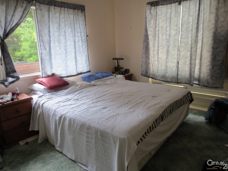 382 Philp Avenue, Frenchville QLD 4701