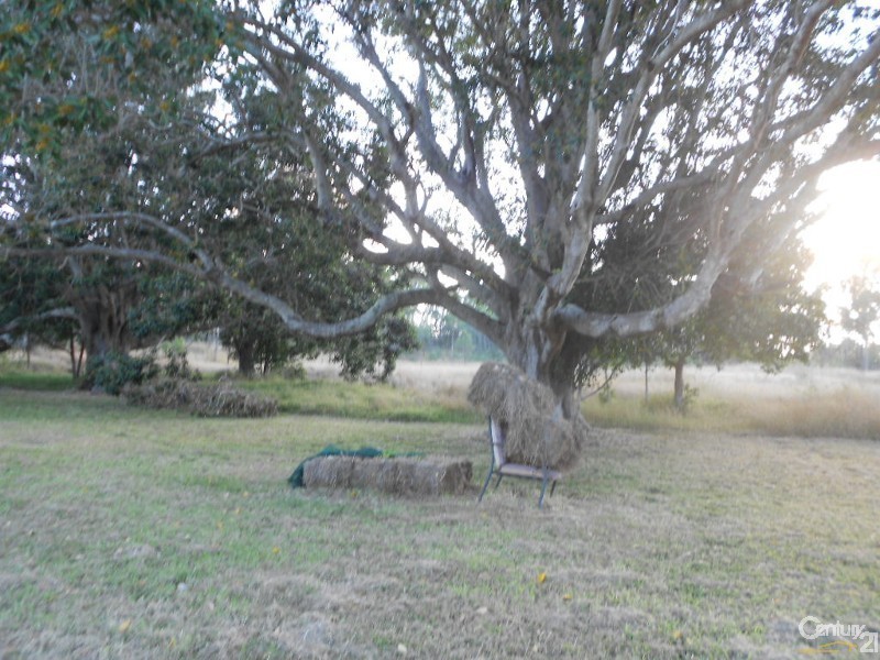 162 Newells Road, The Caves QLD 4702