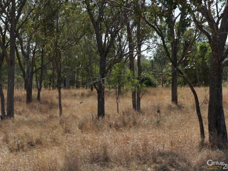 Lot 2 Boys Road, Alton Downs QLD 4702