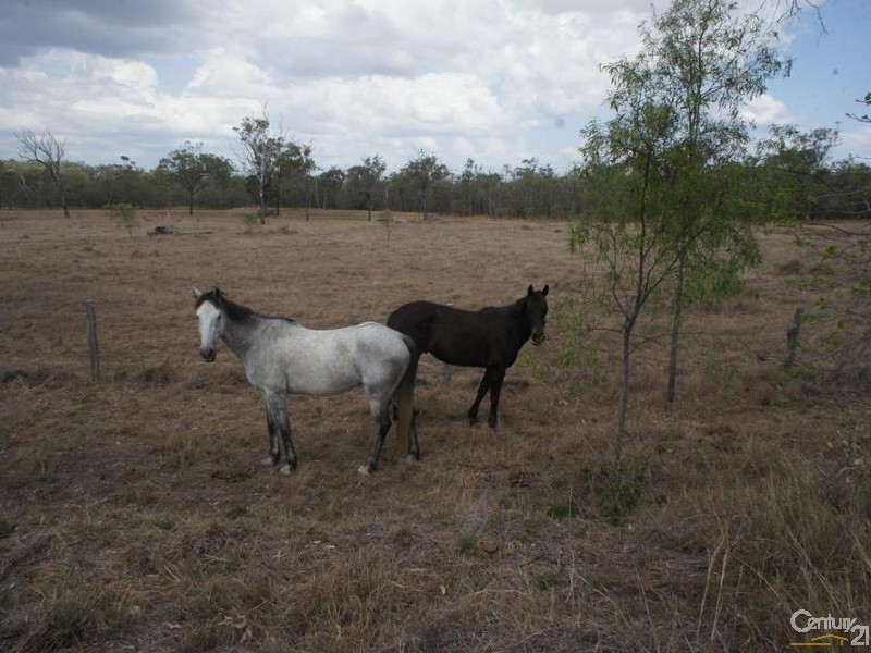 37 Dalma – Ridgelands Road, Ridgelands QLD 4702