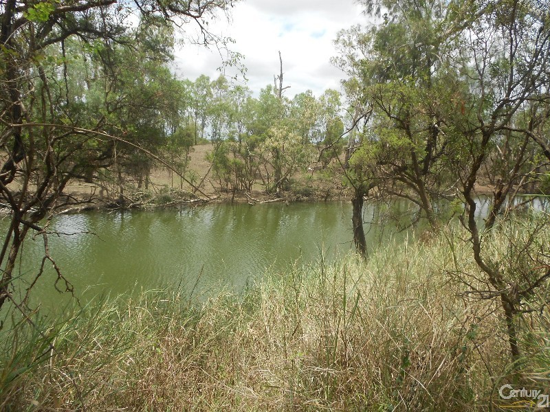 564 South Yaamba Road, Alton Downs QLD 4702