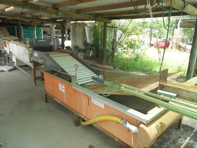 564 South Yaamba Road, Alton Downs QLD 4702