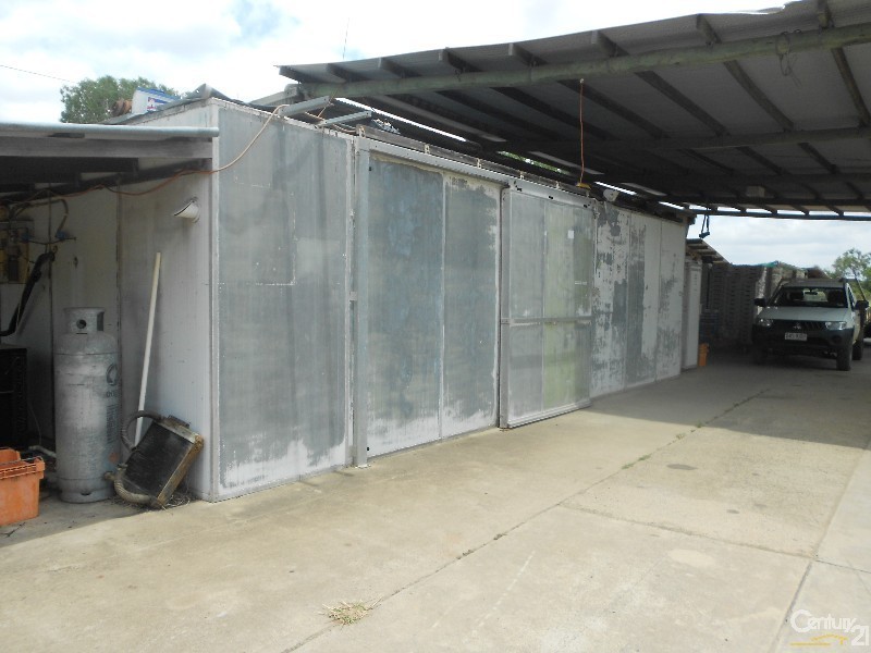 564 South Yaamba Road, Alton Downs QLD 4702