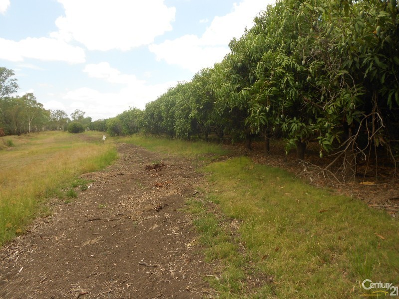 564 South Yaamba Road, Alton Downs QLD 4702