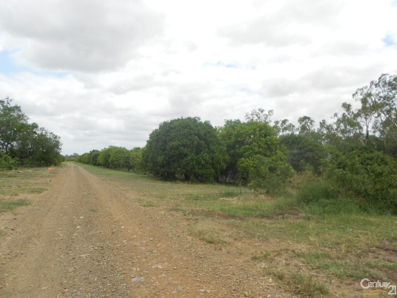 564 South Yaamba Road, Alton Downs QLD 4702