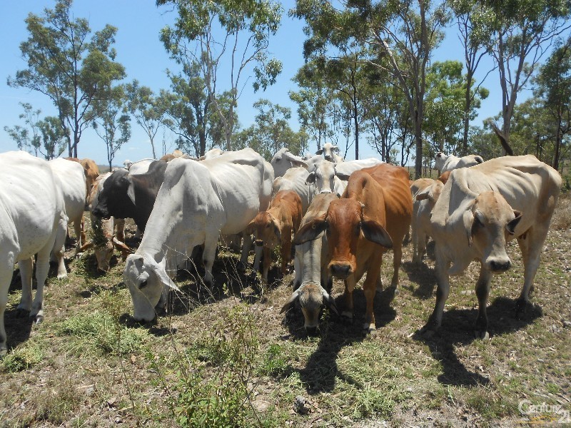 208 Hunter Valley, Morinish QLD 4702