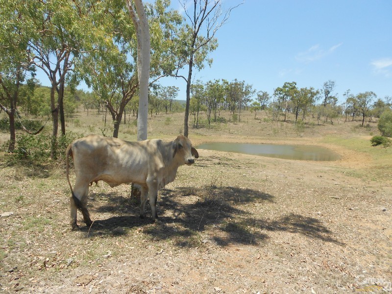 208 Hunter Valley, Morinish QLD 4702
