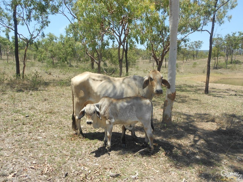 208 Hunter Valley, Morinish QLD 4702