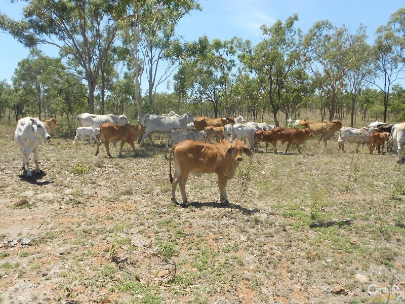 208 Hunter Valley, Morinish QLD 4702