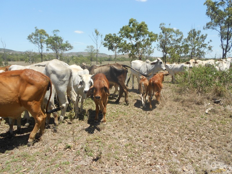 208 Hunter Valley, Morinish QLD 4702