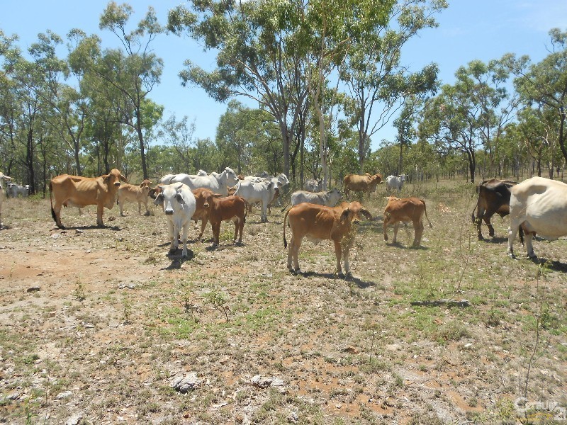 208 Hunter Valley, Morinish QLD 4702