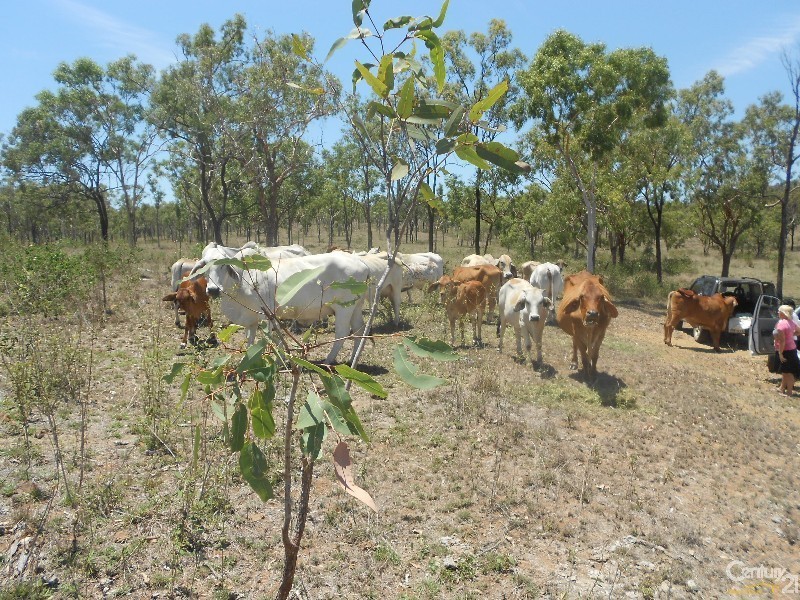 208 Hunter Valley, Morinish QLD 4702