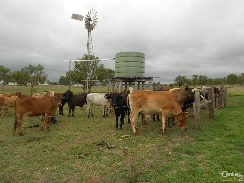 159 Arthur Street, Westwood QLD 4702