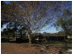34 Pink Lily Road, Pink Lily QLD 4702
