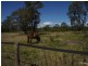 34 Pink Lily Road, Pink Lily QLD 4702