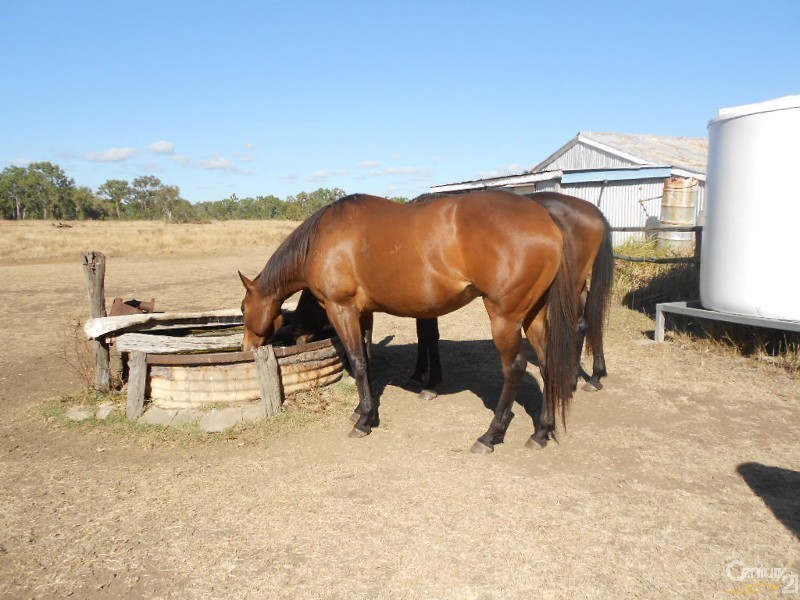 5 Gavial Road, Gracemere QLD 4702