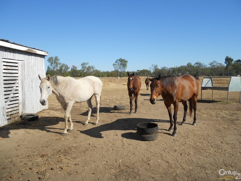5 Gavial Road, Gracemere QLD 4702