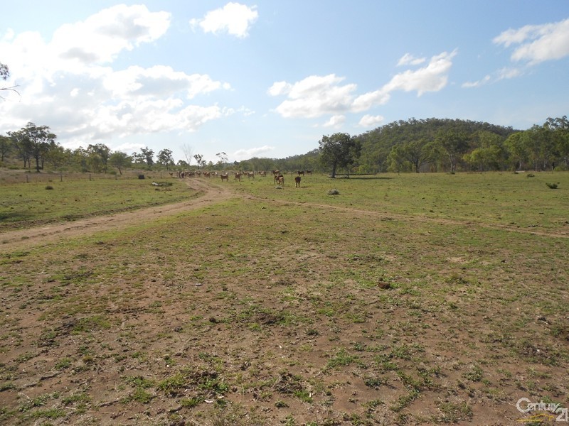 585 Oakey Creek Road, Dululu QLD 4702