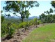 44 Caporn Road, Limestone Creek QLD 4701