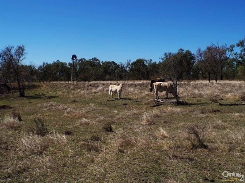51 Kabralea Road, Kabra QLD 4702