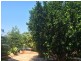 3 Taldora Place, Emu Park QLD 4710