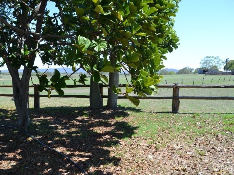 102 Magog Rd, Marlborough QLD 4705