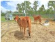 67 South Ulam Road, Bajool QLD 4699