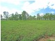 67 South Ulam Road, Bajool QLD 4699