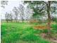 24 Wedel Road, Alton Downs QLD 4702