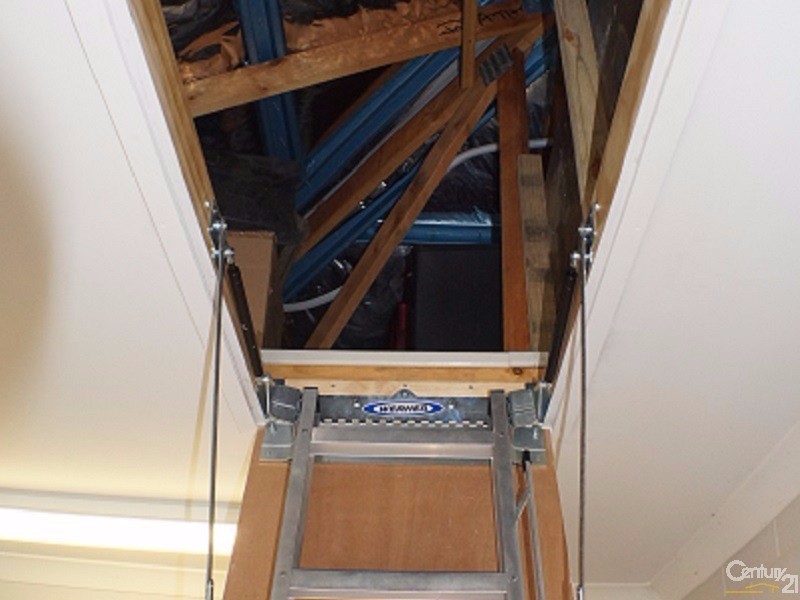 3C Naughton Street, Wandal QLD 4700