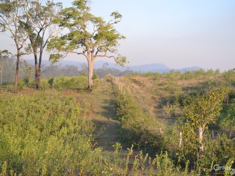 400 Struck Oil Road (Rural), Struck Oil QLD 4714