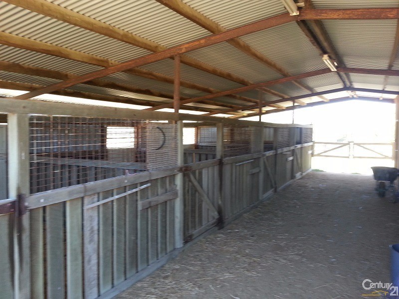Rockyview QLD 4701