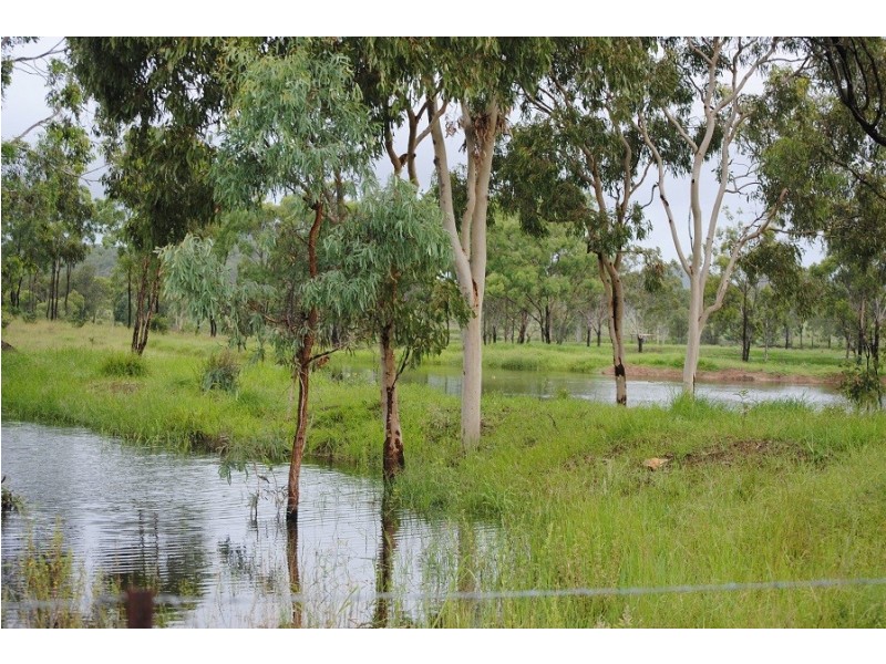 128 Dendle Road, Milman QLD 4702